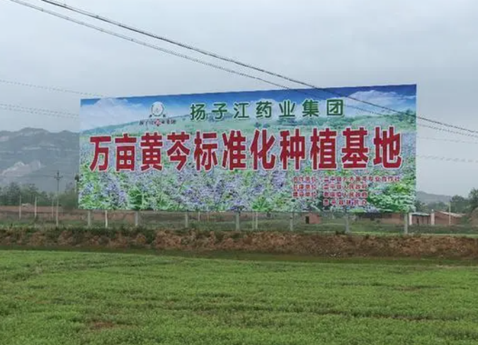 揚(yáng)子江藥業(yè):彰顯藥企責(zé)任擔(dān)當(dāng) 掌握精準(zhǔn)扶貧“金鑰匙” 揚(yáng)子江藥業(yè):彰顯藥企責(zé)任擔(dān)當(dāng) 掌握精準(zhǔn)扶貧“金鑰匙”