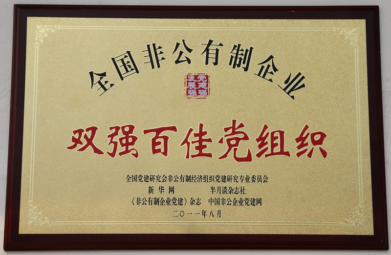 全國非公企業(yè)“雙強百佳黨組織”（2011）