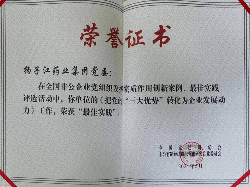 全國非公企業(yè)黨組織發(fā)揮實質作用最佳實踐（2021）